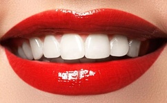 旧里番OVA色情教団1セル版